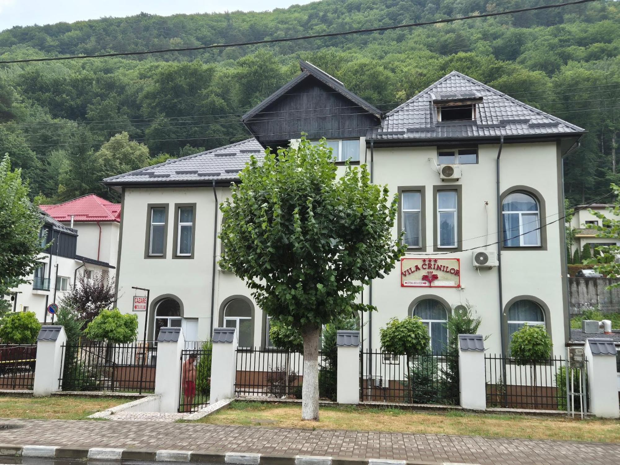 Vila Crinilor Кэлимэнешти Экстерьер фото